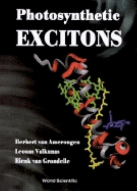 Photosynthetic Excitons by Valkunas, Leonas
