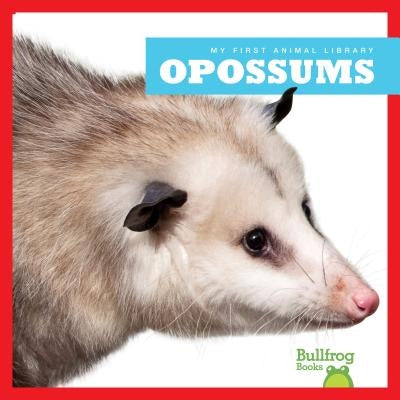 Opossums by Schuh, Mari C.