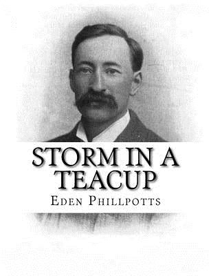 Storm in a Teacup by Phillpotts, Eden