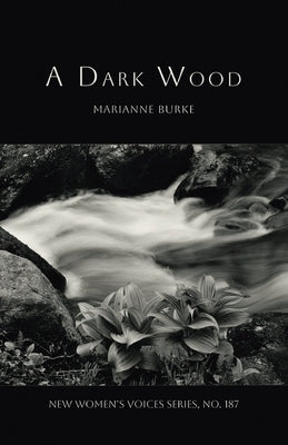 A Dark Wood by Burke, Marianne