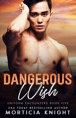 Dangerous Wish: An M/M Friends to Lovers Romance by Knight, Morticia