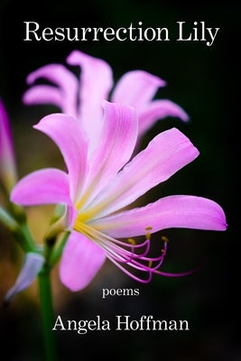 Resurrection Lily by Hoffman, Angela