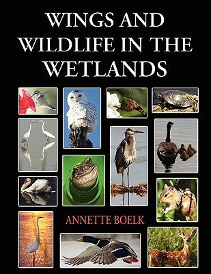 Wings and Wildlife in the Wetlands by Boelk, Annette