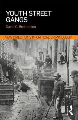 Youth Street Gangs: A Critical Appraisal by Brotherton, David