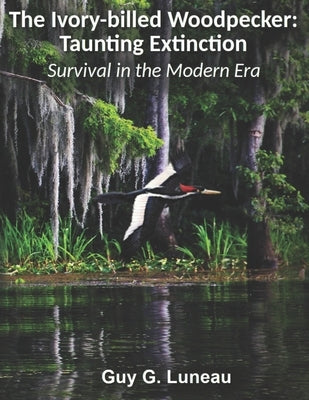 The Ivory-billed Woodpecker: Taunting Extinction: Survival in the Modern Era by Courtman, Matt