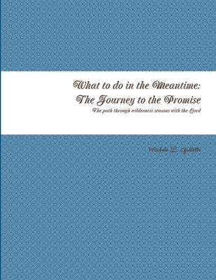 What to do in the Meantime: The Journey to God's Promises by Gullette, Michele
