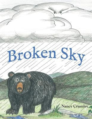 Broken Sky by Crumley, Nancy