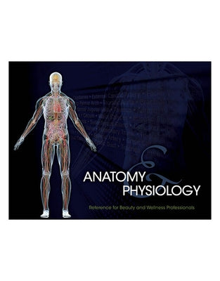 Bundle: Milady Standard Cosmetology, 13th + Milady Standard Updos, Spiral Bound + Student Reference for Anatomy & Physiology, Spiral Bound Version, 2n by Milady