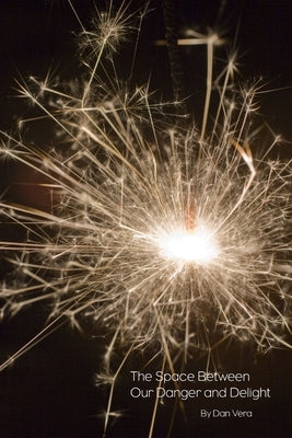 The Space Between Our Danger And Delight by Vera, Dan