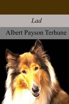 Lad: A Dog by Terhune, Albert Payson