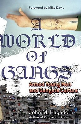 A World of Gangs: Armed Young Men and Gangsta Culture Volume 14 by Hagedorn, John M. M.