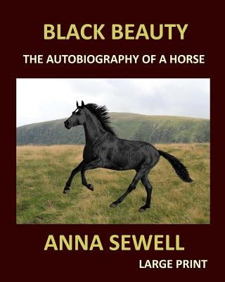 BLACK BEAUTY ANNA SEWELL Large Print: The autobiography of a horse by Sewell, Anna