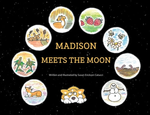 Madison Meets the Moon by Erickson Catucci, Susan