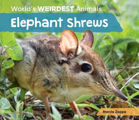 Elephant Shrews by Zappa, Marcia