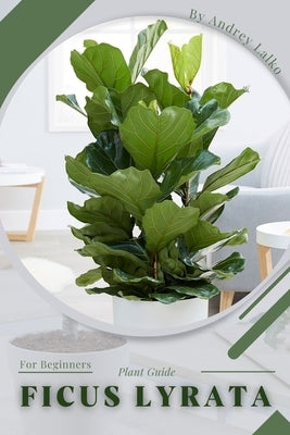 Ficus Lyrata: Plant Guide by Lalko, Andrey