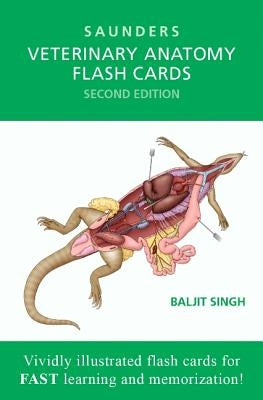 Veterinary Anatomy Flash Cards by Singh, Baljit