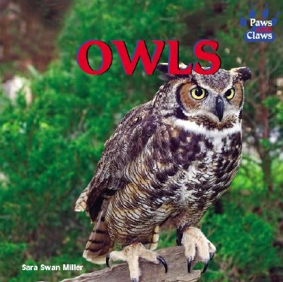 Owls by Swan Miller, Sara