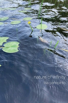 nature of infinity by Panepinto, Lisa