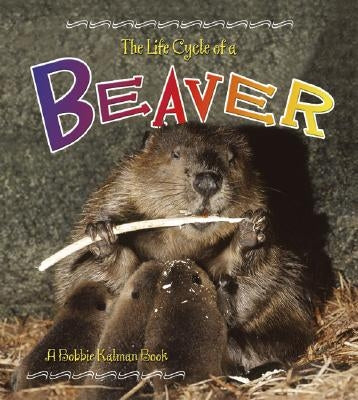 Beaver by Kalman, Bobbie