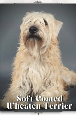 Soft Coated Wheaten Terrier: Dog breed overview and guide by Pustova, Nina