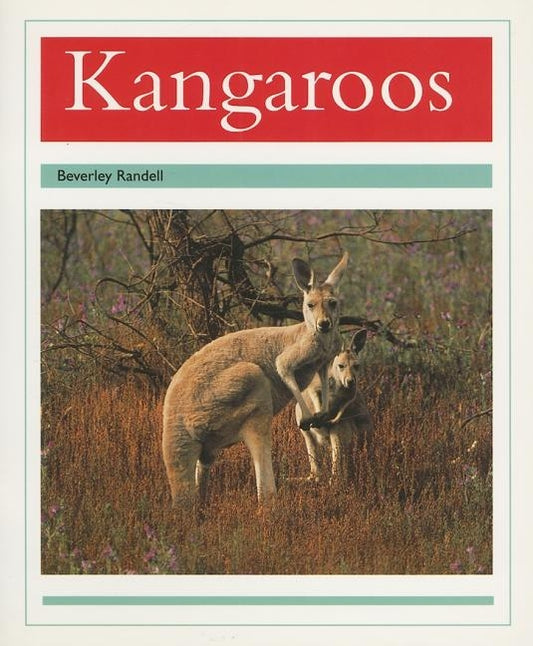 Kangaroos: Individual Student Edition Turquoise (Levels 17-18) by Rigby