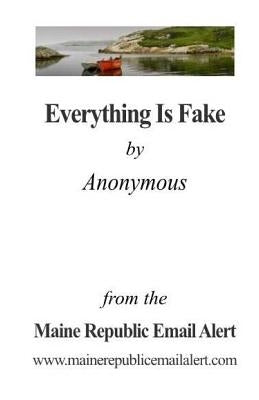 Everything Is Fake: by Anonymous by Robinson, David E.