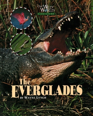 The Everglades by Lynch, Wayne