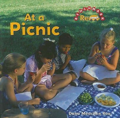 At a Picnic by Rau, Dana Meachen