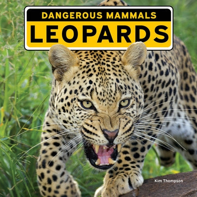 Leopards by Thompson, Kim