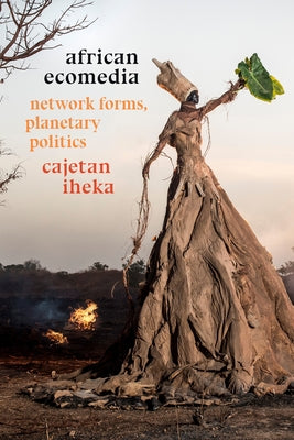 African Ecomedia: Network Forms, Planetary Politics by Iheka, Cajetan