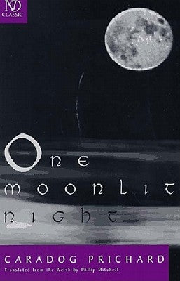 One Moonlit Night: Novel by Mitchell, Philip