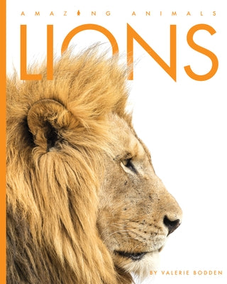 Lions by Bodden, Valerie