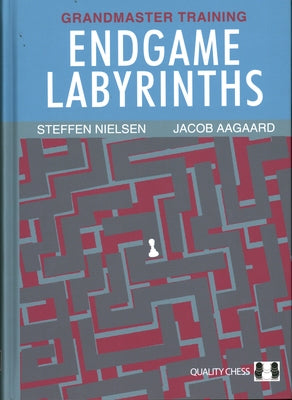 Endgame Labyrinths by Aagaard, Jacob
