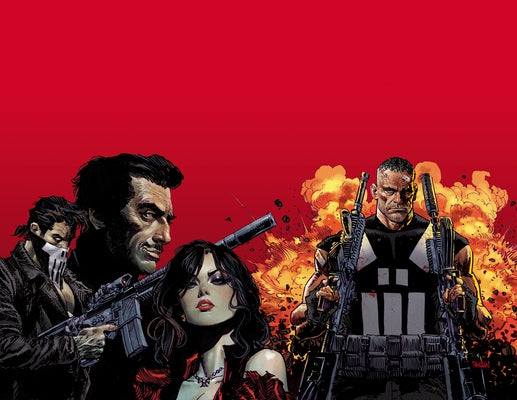 Marvel Knights: Punisher by Palmiotti, Jimmy