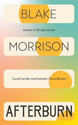 Afterburn by Morrison, Blake