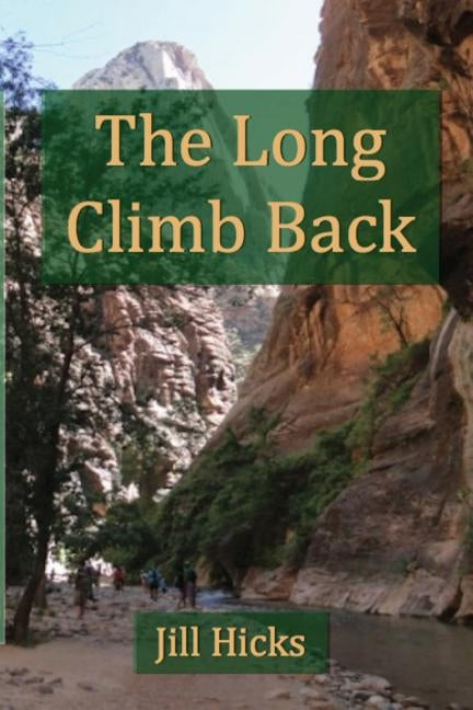 The Long Climb Back by Hicks, Bill