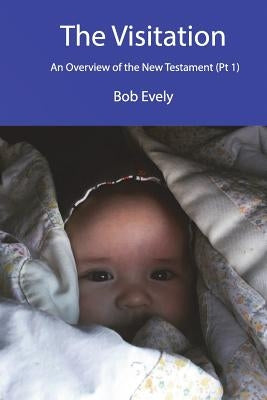 The Visitation, An Overview of the New Testament (Part 1) by Evely, Bob