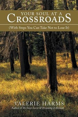 Your Soul at a Crossroads: (With Steps You Can Take Not to Lose It) by Harms, Valerie