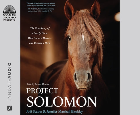 Project Solomon: The True Story of a Lonely Horse Who Found a Home - And Became a Hero by Stuber, Jodi