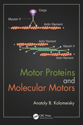 Motor Proteins and Molecular Motors by Kolomeisky, Anatoly B.