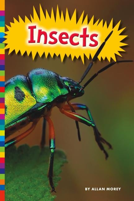 Insects by Morey, Allan