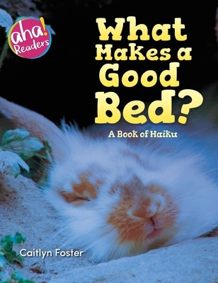 What Makes a Good Bed?: A book of Haiku by Foster, Caitlyn