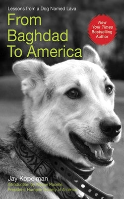 From Baghdad to America: Life Lessons from a Dog Named Lava by Kopelman, Jay