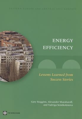 Energy Efficiency: Lessons Learned from Success Stories by Stuggins, Gary