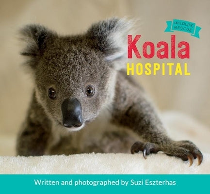 Koala Hospital by Eszterhas, Suzi