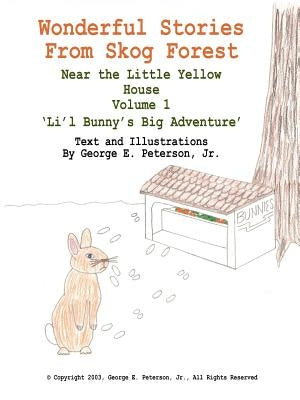 Wonderful Stories From Skog Forest: Near the Little Yellow House Volume 1 'Li'l Bunny's Big Adventure' by Peterson, George E., Jr.