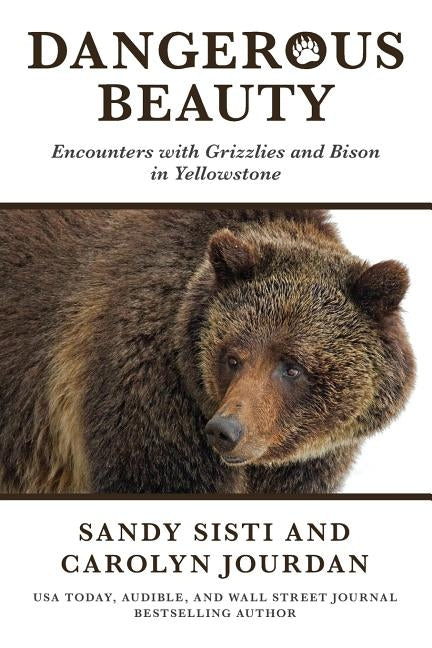 Dangerous Beauty: Encounters with Grizzlies and Bison in Yellowstone by Sisti, Sandy