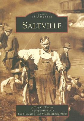 Saltville by Weaver, Jeffrey C.