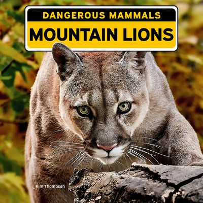 Mountain Lions by Thompson, Kim