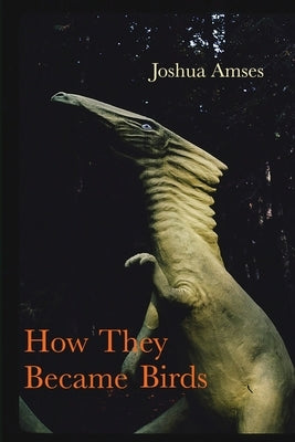 How They Became Birds by Amses, Joshua